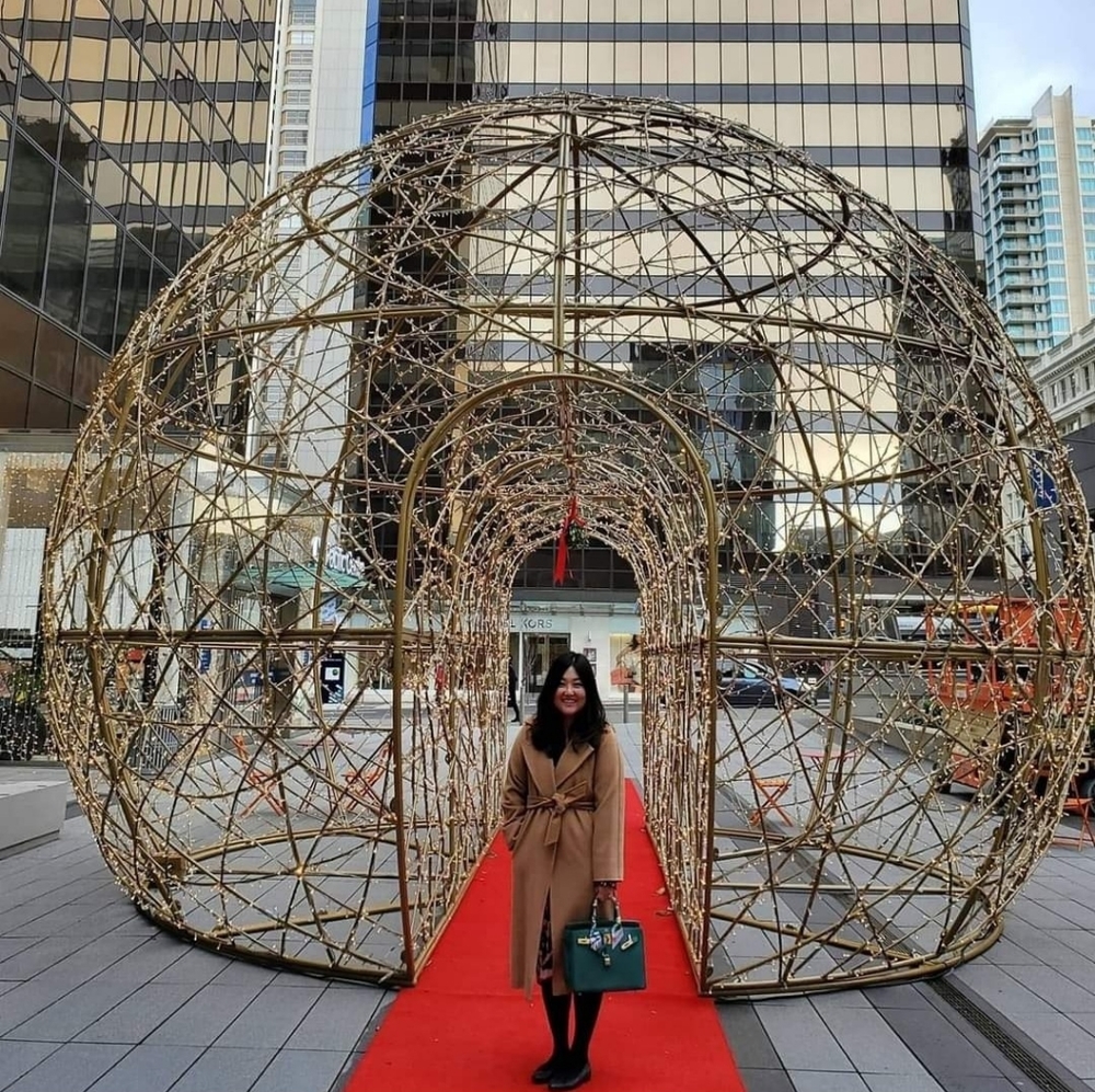 Meet your Posher, Hani